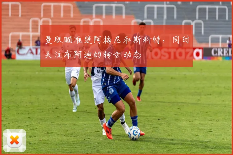 曼联瞄准楚阿梅尼和斯科特，同时关注布阿迪的转会动态