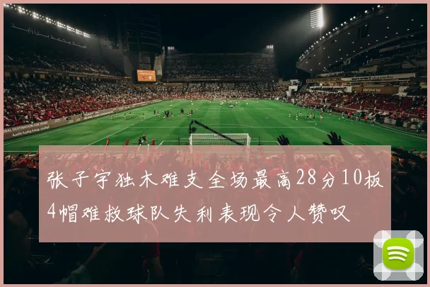 张子宇独木难支全场最高28分10板4帽难救球队失利表现令人赞叹